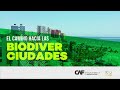 El camino hacia las Biodiverciudades - Ecuador (video teaser promocional)