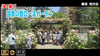 【Japan Walking Trip】Sikinokaori Rose Garden  4K (21:9)