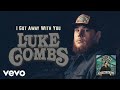 Luke Combs - I Got Away with You (Audio)