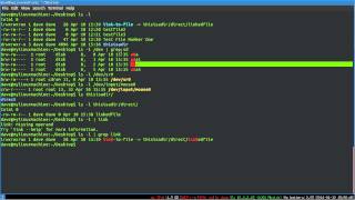 Linux Basics -- Linux File Types Explained