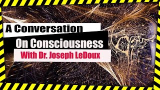 Neuroscience | Dr Joseph LeDoux interview on consciousness mind | Neuroscience split brain patient