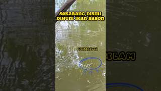 Lapak Ini Dihuni Babon Semarang #mancing #sungai #petualangan