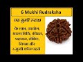 6 Mukhi Rudraksha Day 46