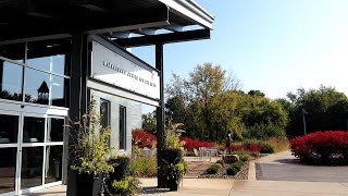 Minnetonka Center for the Arts Matters video