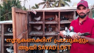 ഒരു ഉഗ്രൻ ലോഫ്റ്റ് വിസിറ്റ് വീഡിയോ / Top quality birds collection / 16+ result bird