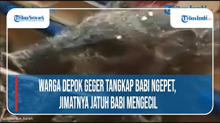 WARGA DEPOK GEGER TANGKAP BABI NGEPET, JIMATNYA JATUH BABI MENGECIL