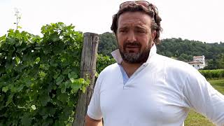 Valentino Butussi, Friuli Venezia Giulia: Slow Wine 2022.