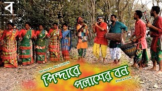 Pindare Polasher Bon (New Version) :: Jhumur Song :: ft. Parapar :: Bengal Pictures