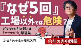 会社の害虫図鑑13　「なぜ5回」が工場以外では危ないのはなぜ？