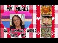 Days 1&2 Back Back On Slimming World Plan! Aug 12,2024 #slimmingworld #whatieatinadayhealthyedition