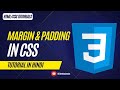 Margin & Padding in CSS Tutorial in Hindi For Beginners | W3 Web School #csstutorial #css