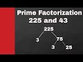 Prime fctorization of 225 and 43 ( Bonus-Factor tree for 42 )