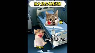 当女朋友来给我送饭 #猫meme小剧场 #意想不到的结局 #看一遍笑一遍 #真会玩 #别人的女朋友  #cat #迷恋 #funny  #萌宠 #貓 #pets #猫meme