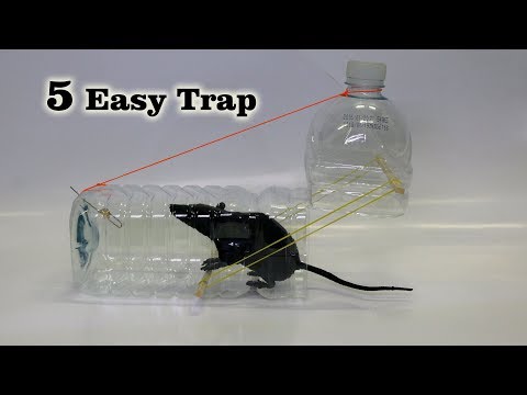 5 Easy Mouse/Rat Trap 5 Easy Mouse/Rat Trap