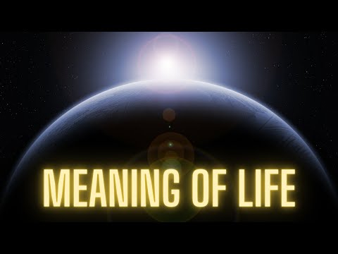 What is the meaning of life Alan Watts?