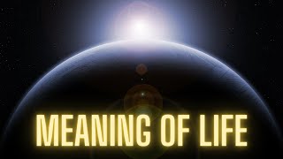 Alan Watts - The Meaning Of Life