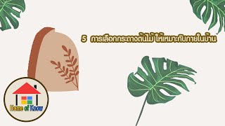 5  การเลือกกระถางต้นไม้ ให้เหมาะกับภายในบ้าน | Home of Know