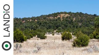 SOLD • Land in New Mexico • 6.51 Acre Homesite with Electricity \u0026 Road Frontage