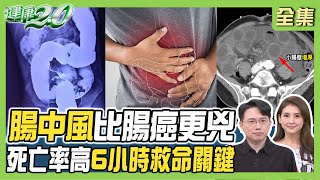 腸中風死亡率90% 比腸癌更兇險！ 肚子痛 小心腸扭轉 腸阻塞 延遲恐敗血症！健康2.0 20230827【完整版】江坤俊 韋汝 許秉毅 陳欣湄 吳明珠 陳麗華 雷議宗@tvbshealth20