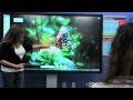 BOXLIGHT Interactive Classroom Solutions - Introduction