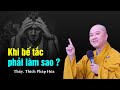 Khi lòng bế tắc hãy nhớ điều này - Thầy Thích Pháp Hòa