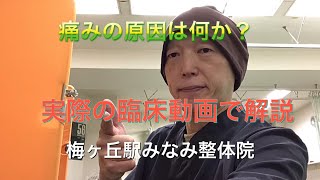 #世田谷梅丘#歪み整体　　　 臨床動画　　痛みの原因は何か？