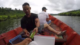 Amazing Trip At Tatai River - Riding Boat Tour @ Tatai River, Koh Kong Cambodia