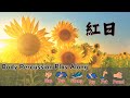 紅日 - 身體節奏音樂素養