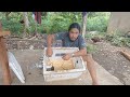 simple diy incubator na kasya ang 50 60 eggs mura at marami pwede mapisa buhay isla