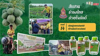 สืบสาน ธำรงไทย ด้วยใจภักดิ์ : เรียนรู้เกษตรอินทรีย์ที่บ้านไมตรี พวงอินทร์