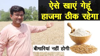 गेहूं खाने का सही तरीका ये है, हाजमा ठीक रहेगा, बीमारियां नहीं होगी || Technial Farming ||