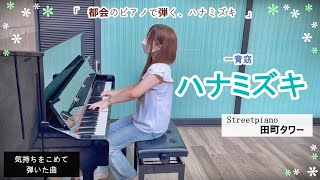 田町 ピアノ ハナミズキ