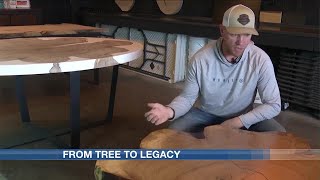 Dying Lisbon historic elm tree is repurposed