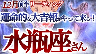 水瓶座 12月前半【もう我慢しない！生まれ変わり級リベンジの重要節目】魅力とパワーを取り戻してチャレンジ　　みずがめ座　2024年１２月運勢  タロットリーディング