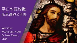 2022.12.19 主徒会.张思谦神父主祭 Mandarin Mass celebrated by Fr Peter, CDD