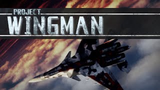 PS2時代エースコンバットのフォロワーゲーム「Project Wingman」を遊ぶ