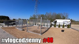 #vlogcodzienny #48 - Jak zrobiłem kojec dla psa. Prace amatorów przy ogrodzie.