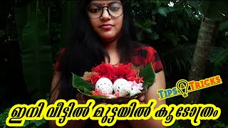 ഇനി വീട്ടിൽ മുട്ടയിൽ കൂടോത്രം | Tips \u0026 Tricks | കൂടോത്രം ഇതിന്റെ പുറകിലെ സത്യമെന്ത്