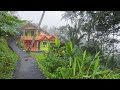 Rain in rural Indonesia||cool and comfortable atmosphere||relaxing rain