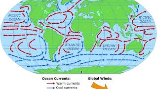 Wind and Ocean Currents Animation