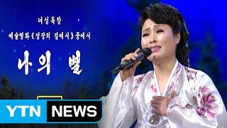 베일 쌓인 김정은 생모...北TV 동명이인도 등장 / YTN (Yes! Top News)