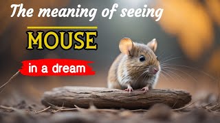 Mouse dream meaning and symbolism