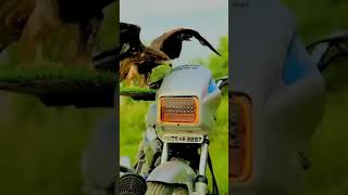 😍GF😍❣️LOVE❣️new Punjabi song whatsapp status video || Punjabi status || new Punjabi song status