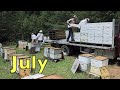 July Beekeeping Odds & Ends