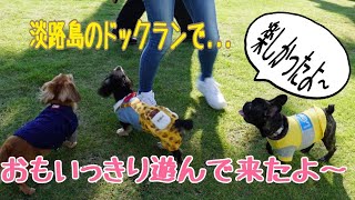 友達犬と淡路島のドッグランに行った！