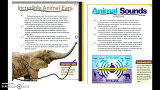 Lesson 18 Finding Information from Multiple Sources Day 2