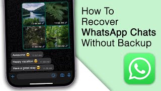 How to Recover Deleted WhatsApp Messages on iPhone [No Backup]