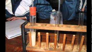 Anaerobic respiration.wmv