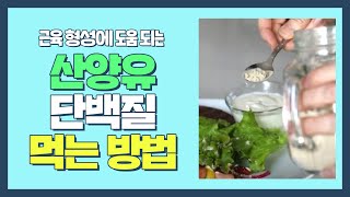 체중 감소 tip)) 근육 형성에도 도움을 주는 '산양유 단백질' 다채로운 아침(themorning) 37회 | JTBC 210802 방송