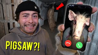 DO NOT FACETIME PIGSAW AT 3 AM!! *THEY CAME AFTER US*